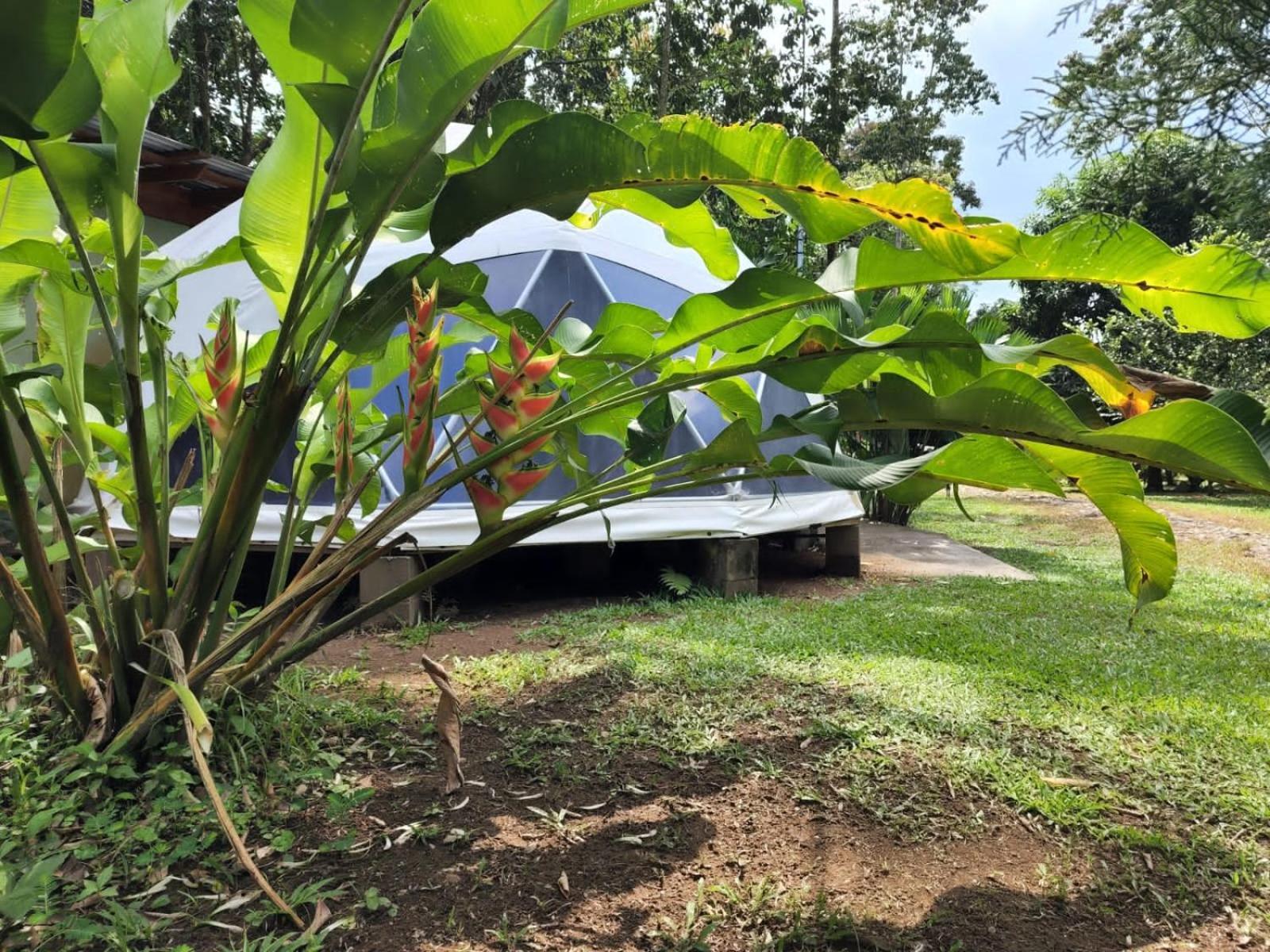 Glamping Naioth Apartment กวาปิเลส ภายนอก รูปภาพ