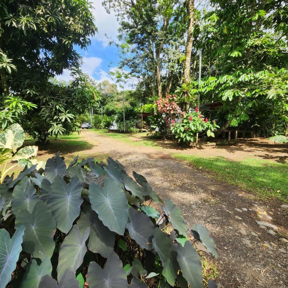 Glamping Naioth Apartment กวาปิเลส ภายนอก รูปภาพ